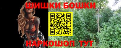 бошки Камышлов